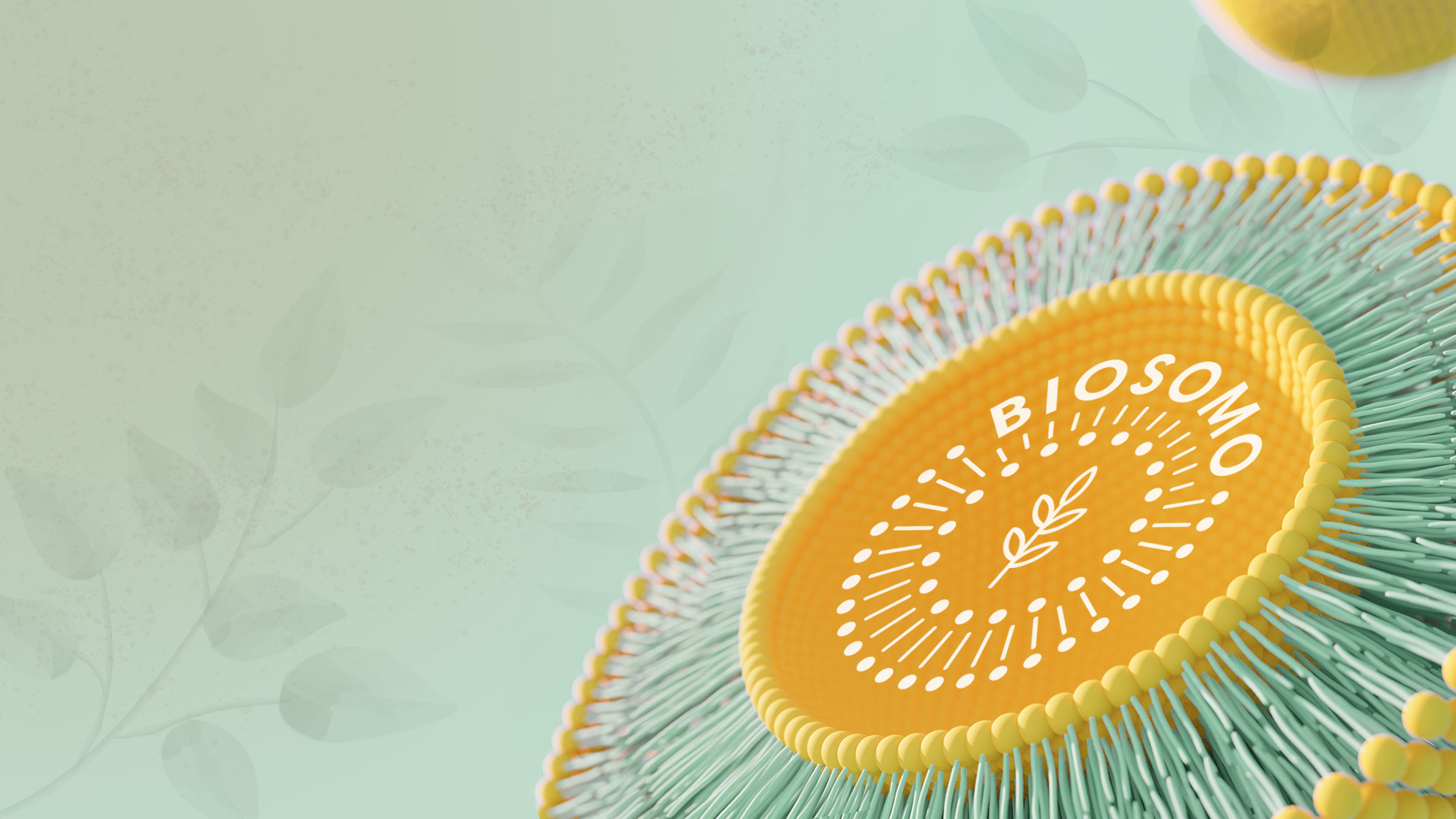 Lipozom 3D